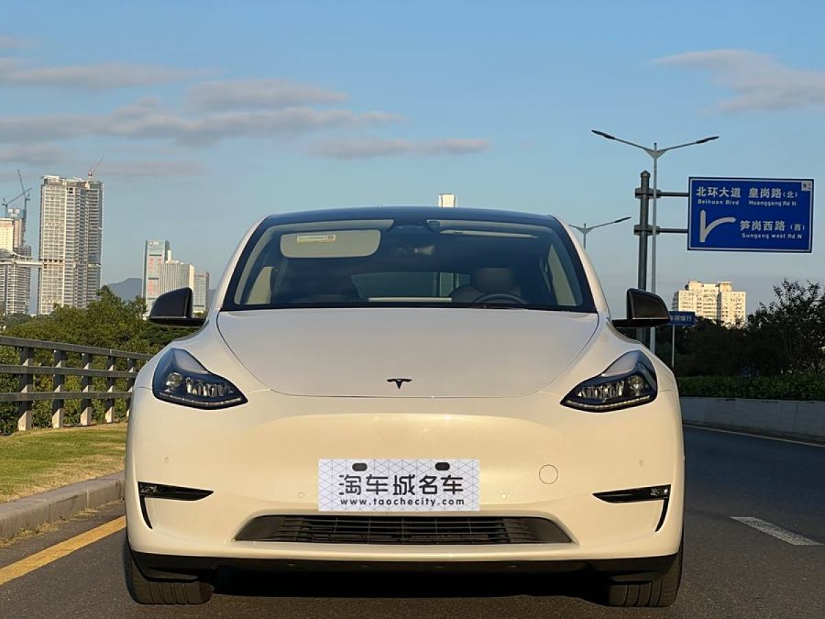 特斯拉 Model Y  2022款 Performance高性能全輪驅(qū)動版圖片