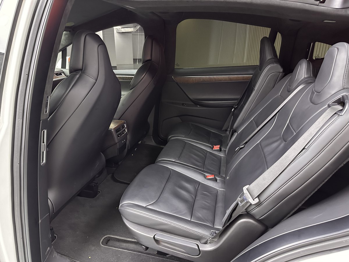 特斯拉 Model X  2017款 Model X 100D 長續(xù)航版圖片