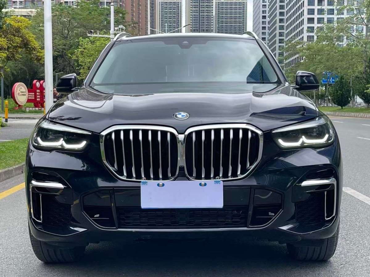 寶馬 寶馬X5  2022款 改款 xDrive 30Li M運(yùn)動(dòng)套裝圖片