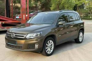途觀L 大眾 330TSI 自動(dòng)兩驅(qū)風(fēng)尚版