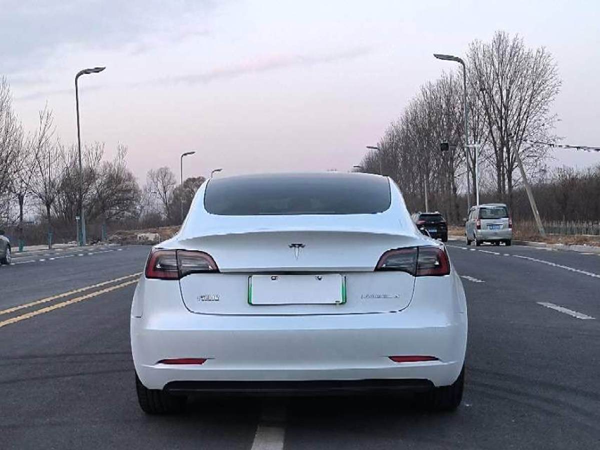 特斯拉 Model 3  2021款 改款 標(biāo)準(zhǔn)續(xù)航后驅(qū)升級(jí)版圖片