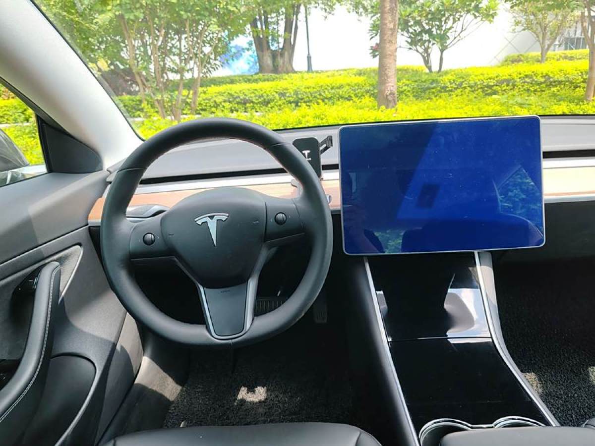 特斯拉 Model 3  2019款 標準續(xù)航后驅升級版圖片