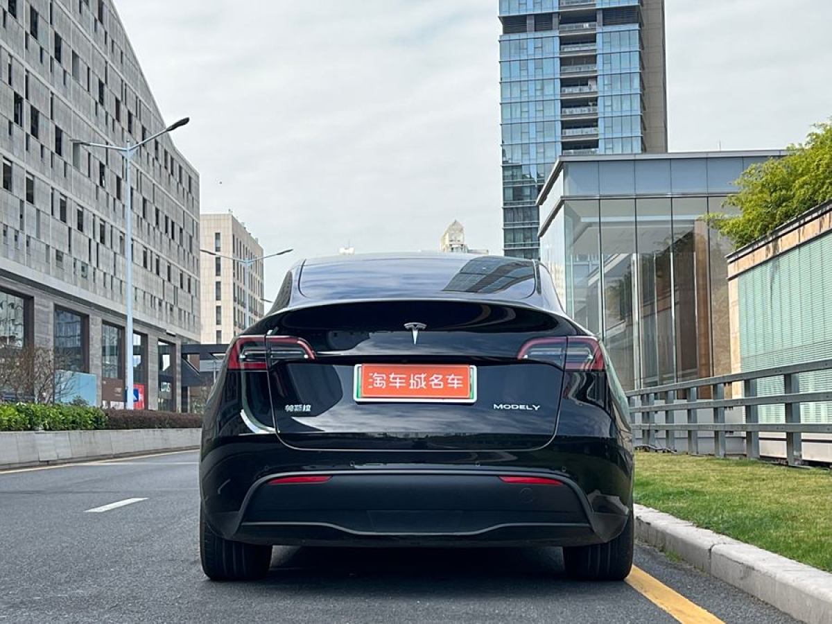 特斯拉 Model Y  2020款 改款 長續(xù)航后輪驅動版圖片