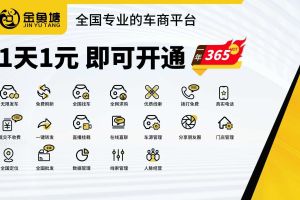 Model Y 特斯拉 后輪驅(qū)動(dòng) 首發(fā)版