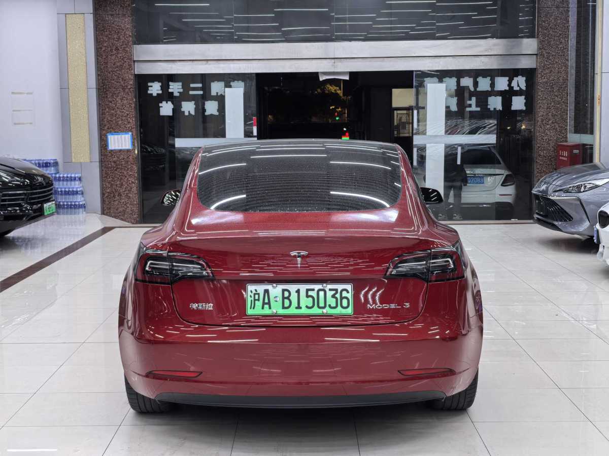 特斯拉 Model 3  2021款 改款 標(biāo)準(zhǔn)續(xù)航后驅(qū)升級(jí)版圖片