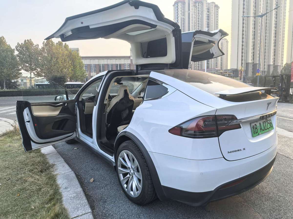 特斯拉 Model X  2016款 Model X 75D圖片