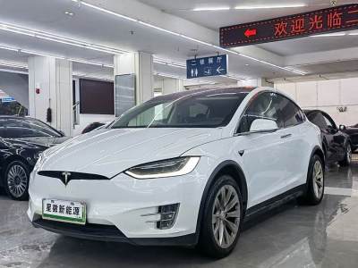 2018年10月 特斯拉 Model X Model X 100D 長續(xù)航版圖片