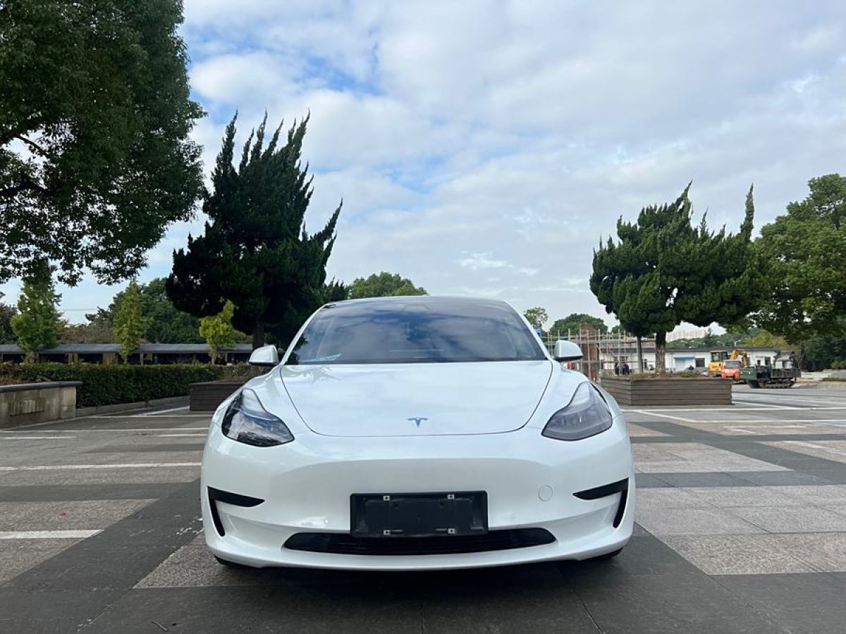 2021年3月特斯拉 Model 3  2019款 標準續(xù)航后驅升級版