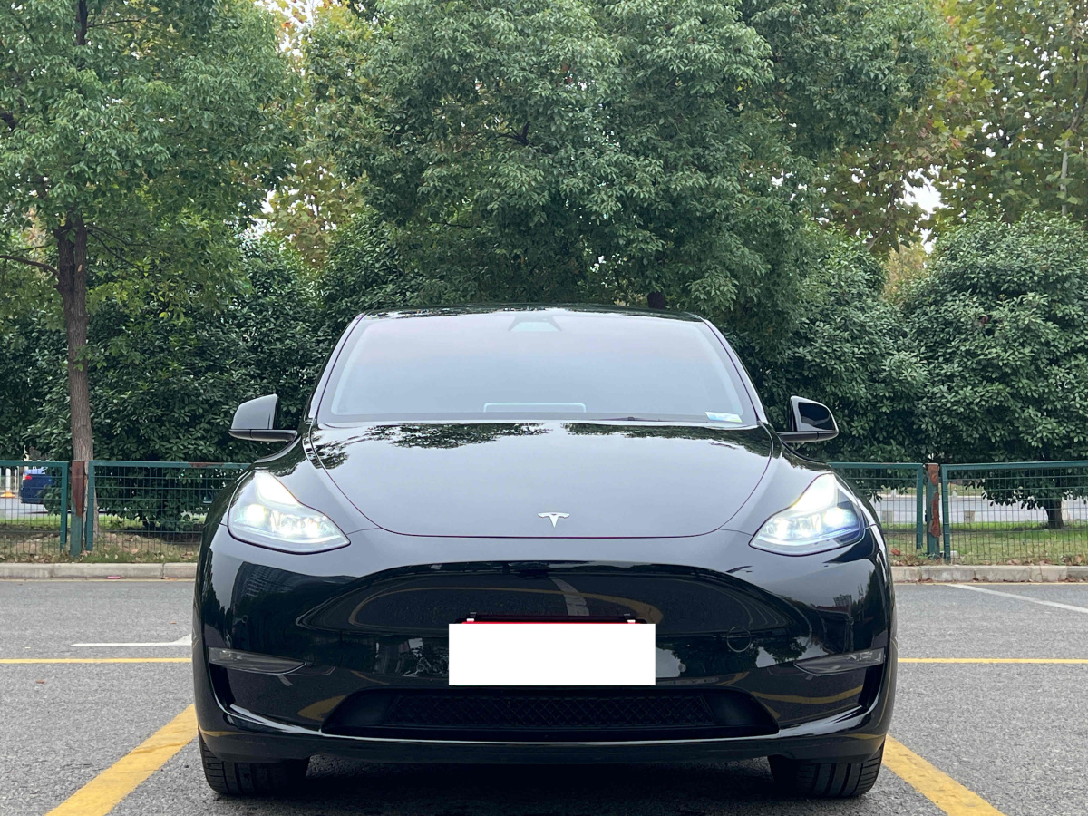 特斯拉 Model 3  2023款 長(zhǎng)續(xù)航煥新版 雙電機(jī)全輪驅(qū)動(dòng)圖片