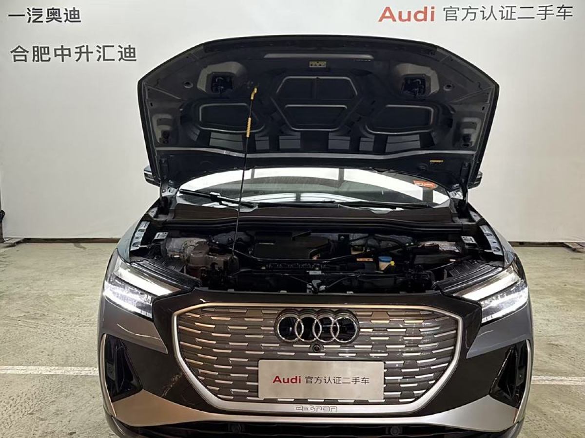 2023年1月奧迪 奧迪Q4 e-tron  2022款 40 e-tron 創(chuàng)境版