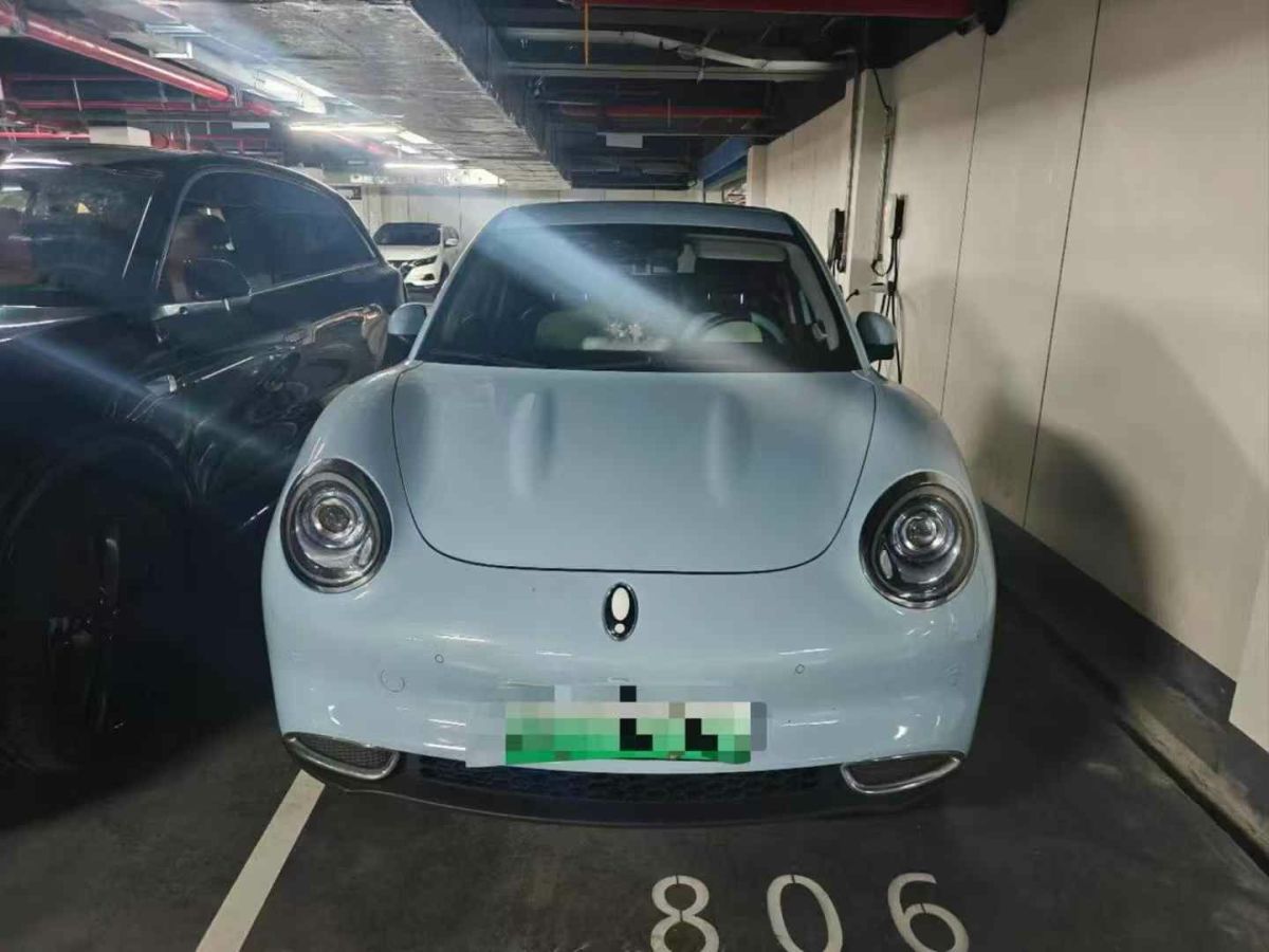 歐拉 歐拉好貓  2021款 400km標(biāo)準(zhǔn)續(xù)航 公務(wù)版 三元鋰圖片