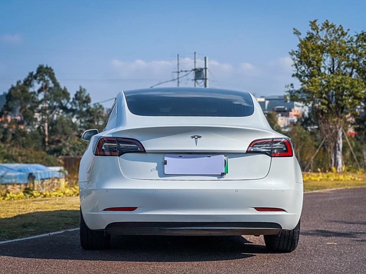 特斯拉 Model 3  2019款 標準續(xù)航后驅(qū)升級版圖片