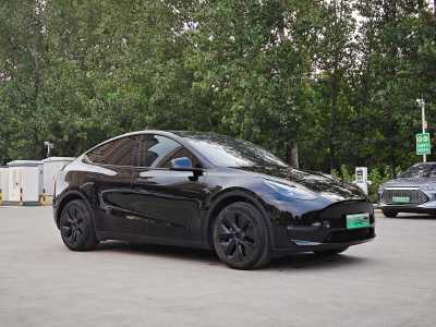 2024年1月 特斯拉 Model Y 長續(xù)航煥新版 雙電機全輪驅動圖片