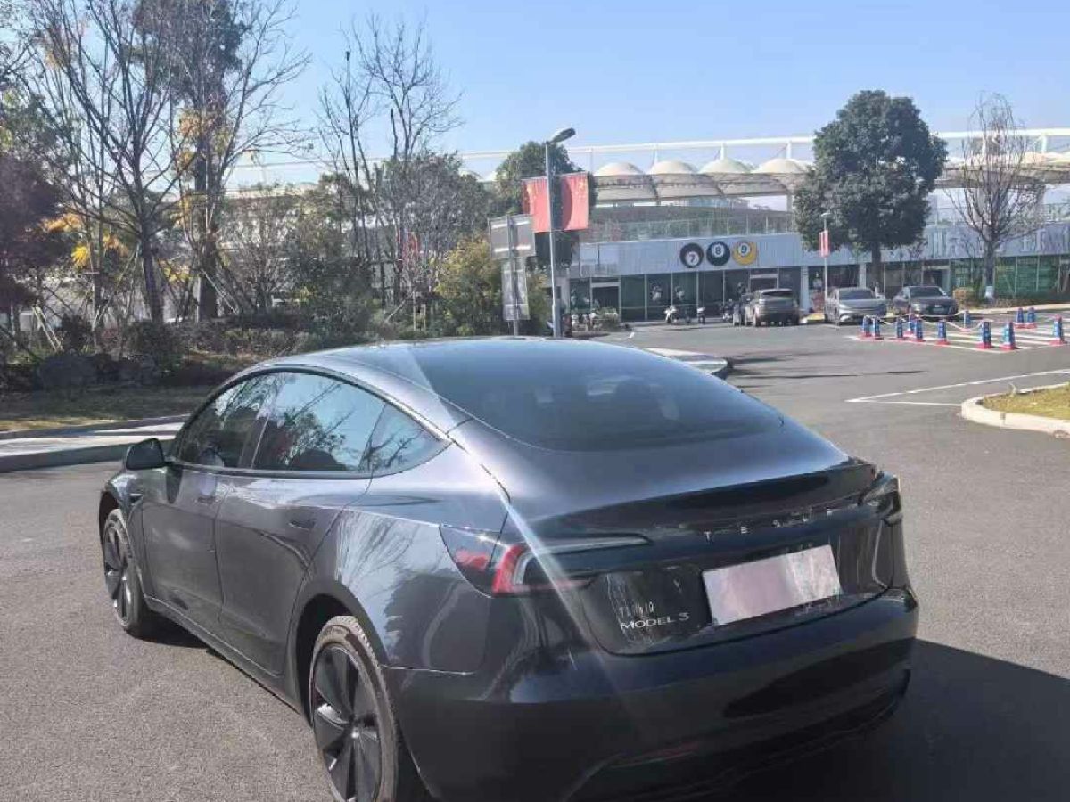 特斯拉 Model Y  2024款 Performance高性能版圖片