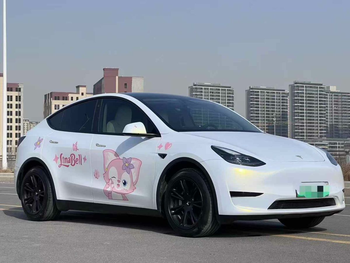 特斯拉 Model S  2023款 三電機(jī)全輪驅(qū)動(dòng) Plaid版圖片