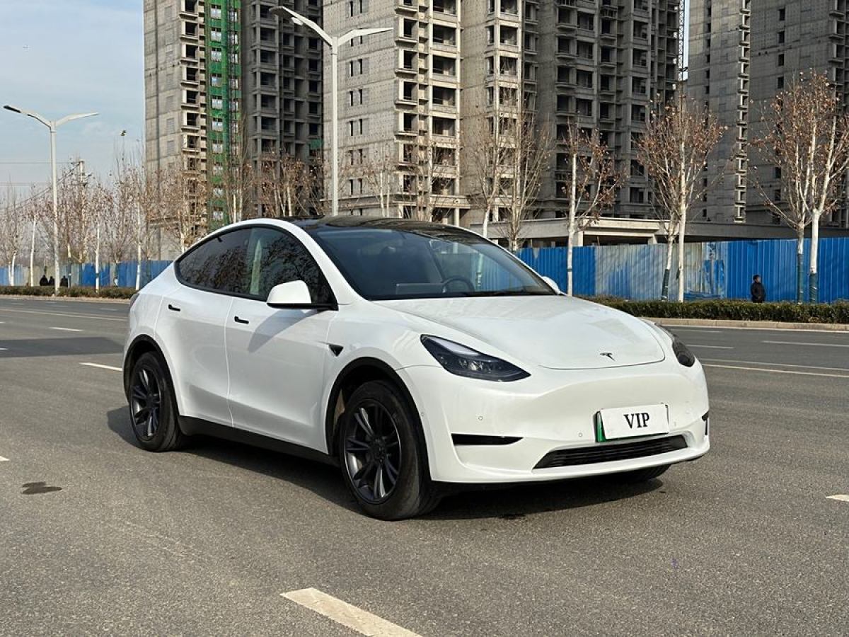 特斯拉 Model 3  2020款 改款 長續(xù)航后輪驅(qū)動版圖片