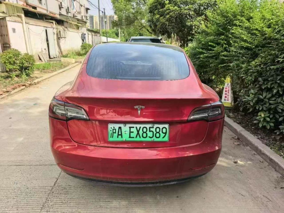 特斯拉 Model X  2020款 Performance 高性能版圖片