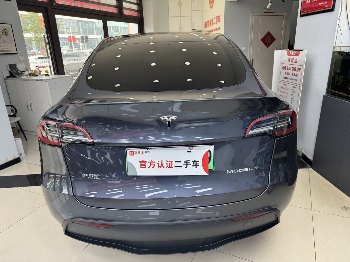 特斯拉 Model Y  2021款 改款 Performance高性能全輪驅(qū)動版圖片