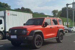 坦克300 坦克 城市版 2.0T 我看型