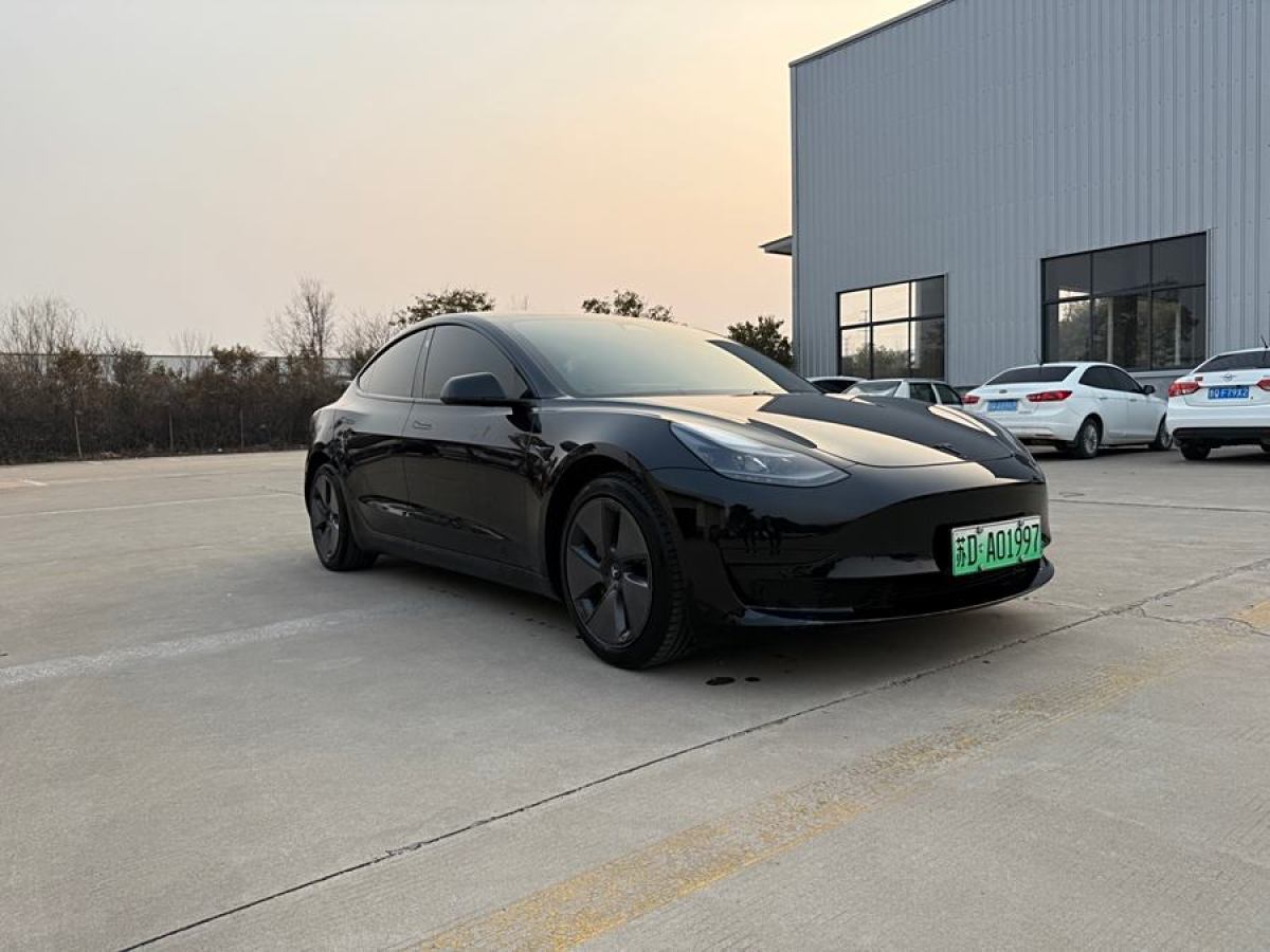 特斯拉 Model 3  2021款 改款 標(biāo)準(zhǔn)續(xù)航后驅(qū)升級(jí)版圖片