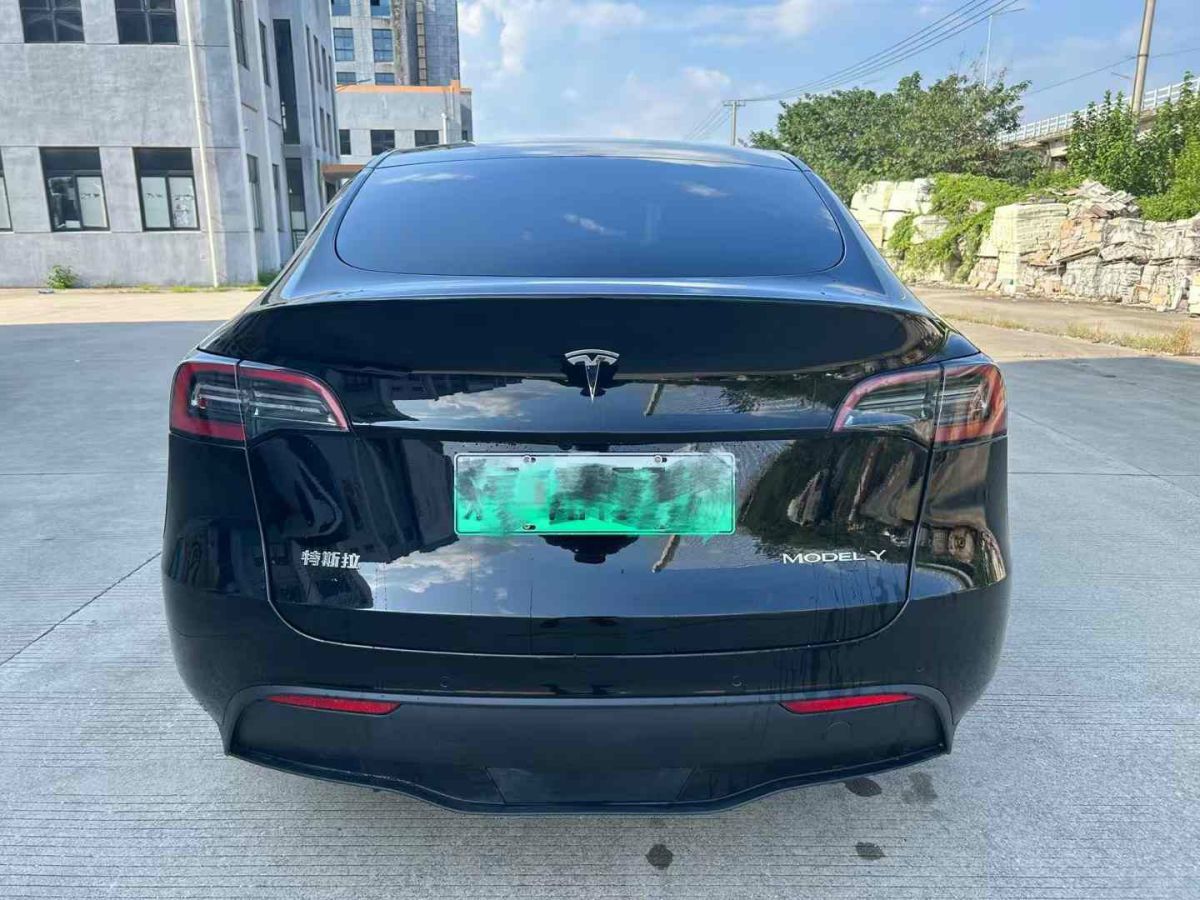 特斯拉 Model S  2023款 三電機(jī)全輪驅(qū)動(dòng) Plaid版圖片