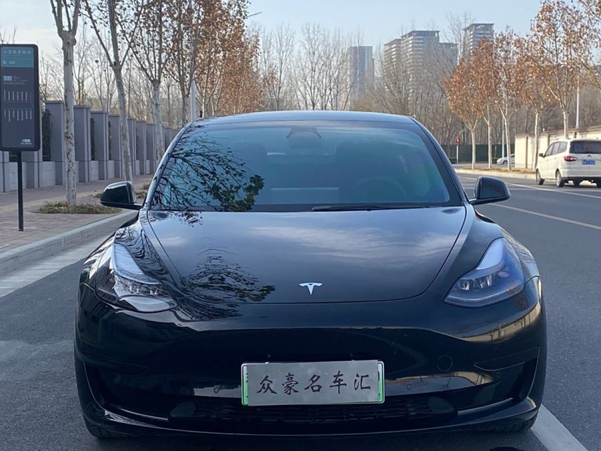 特斯拉 Model 3  2021款 改款 標(biāo)準(zhǔn)續(xù)航后驅(qū)升級(jí)版圖片