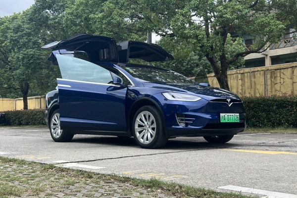 2018年01月 特斯拉 model x 2017款 model x 100d 長續航版-隱想家