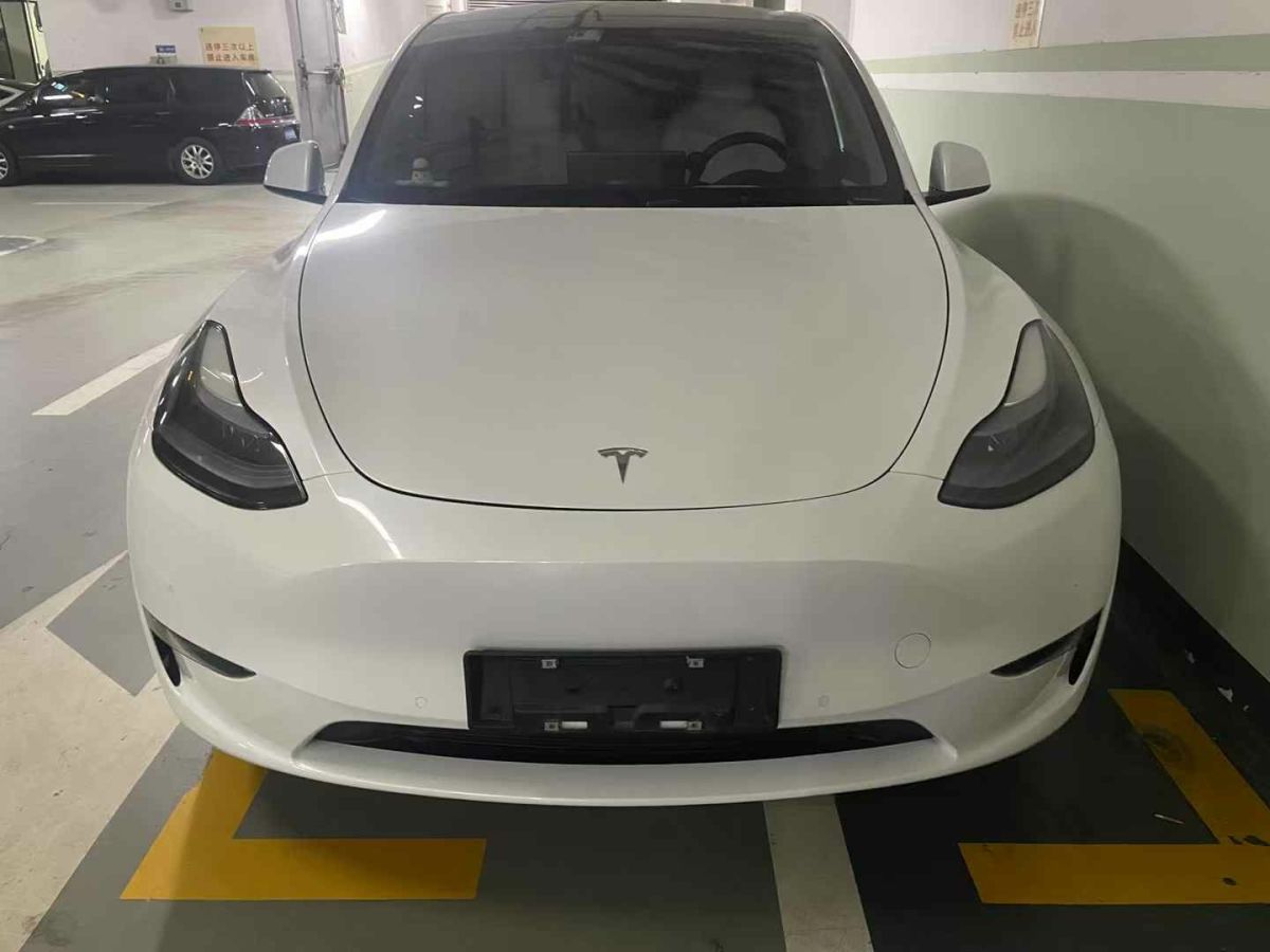 2022年1月特斯拉 Model 3  2022款 Performance高性能全輪驅(qū)動(dòng)版