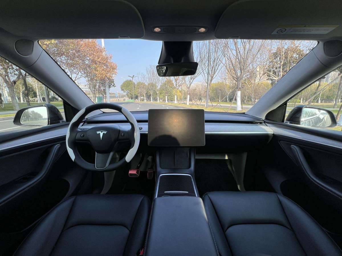 特斯拉 Model Y  2024款 長續(xù)航全輪驅(qū)動版圖片