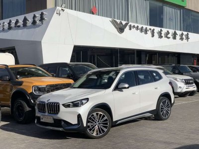 2024年6月 寶馬 寶馬X1 sDrive25Li X設(shè)計(jì)套裝圖片