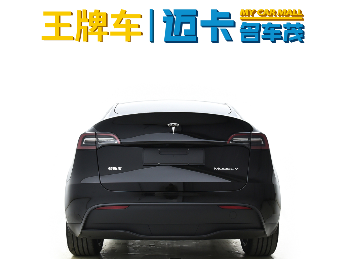 特斯拉 Model 3  2020款 改款 長續(xù)航后輪驅動版圖片