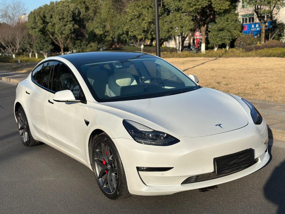 特斯拉 Model 3  2021款 Performance高性能全輪驅(qū)動版圖片