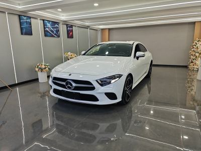 2019年2月 奔馳 奔馳CLS級(進口) CLS 300 動感型圖片