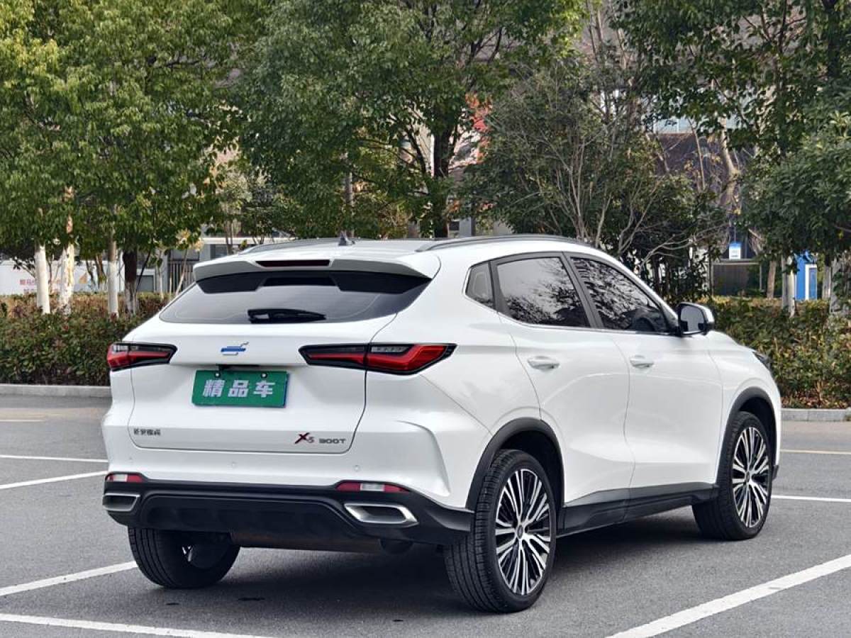 長(zhǎng)安歐尚 長(zhǎng)安歐尚X5  2021款 1.5T DCT尊貴型圖片