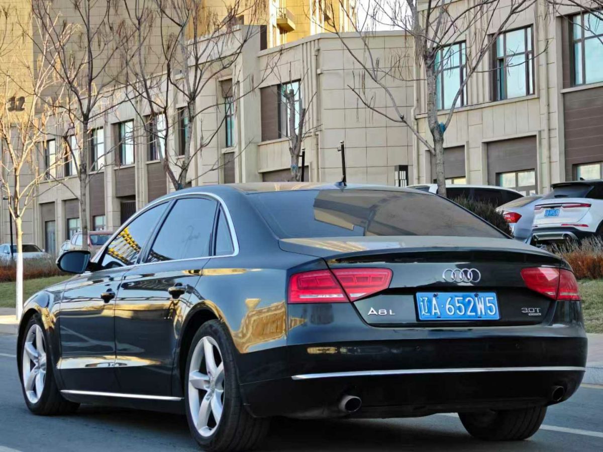 奧迪 奧迪A8  2011款 A8L W12 6.3 FSI quattro圖片