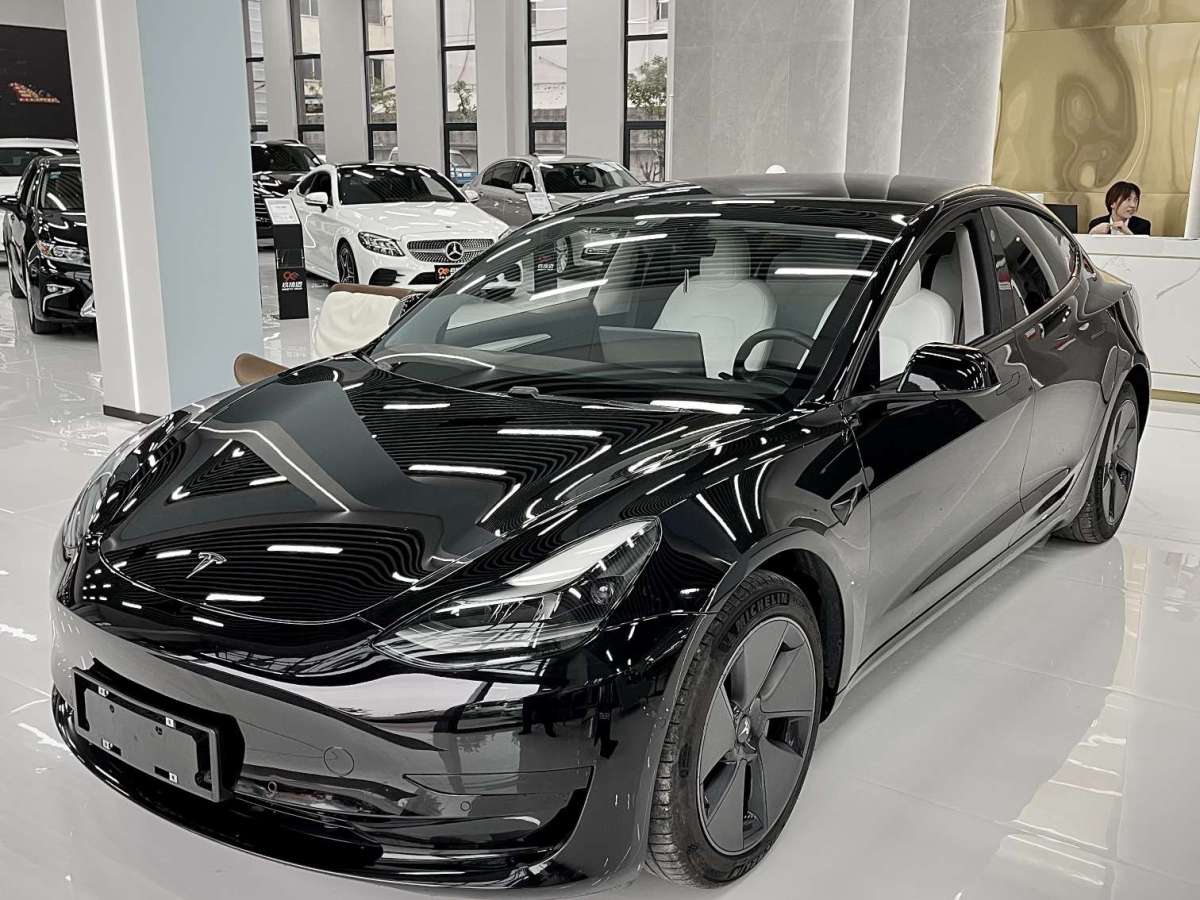 【台州二手車】2021年02月_二手特斯拉 model 3 2019款 標準續航後驅