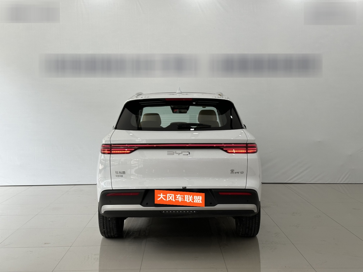 比亞迪 宋Pro新能源  2025款 DM-i 115KM超越型圖片