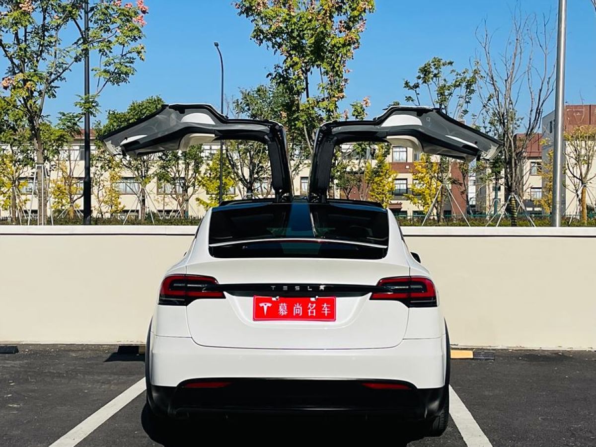 特斯拉 Model X  2019款 長續(xù)航版圖片