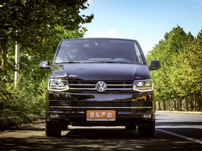 2019年7月 大众 迈特威(进口) 2.0TSI 两驱豪华版 7座图片