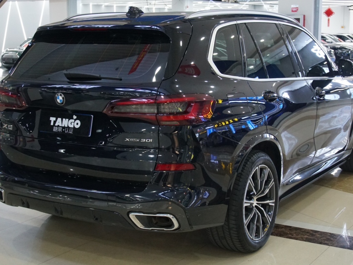 寶馬 寶馬X5  2020款 xDrive30i M運動套裝圖片