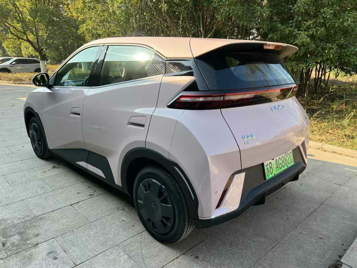 比亞迪 宋L DM-i  2024款 112km 超越型圖片