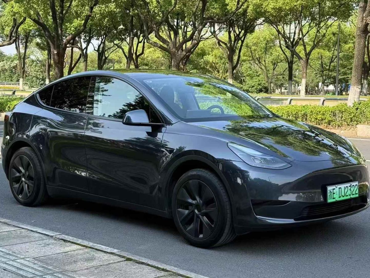 特斯拉 Model Y  2024款 Performance高性能版圖片