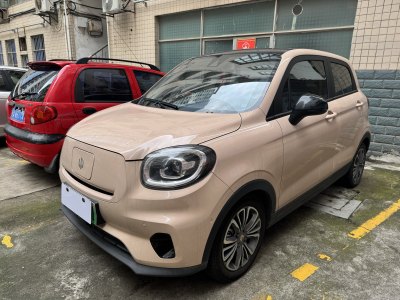2021年5月 零跑 零跑T03 400豪華版圖片