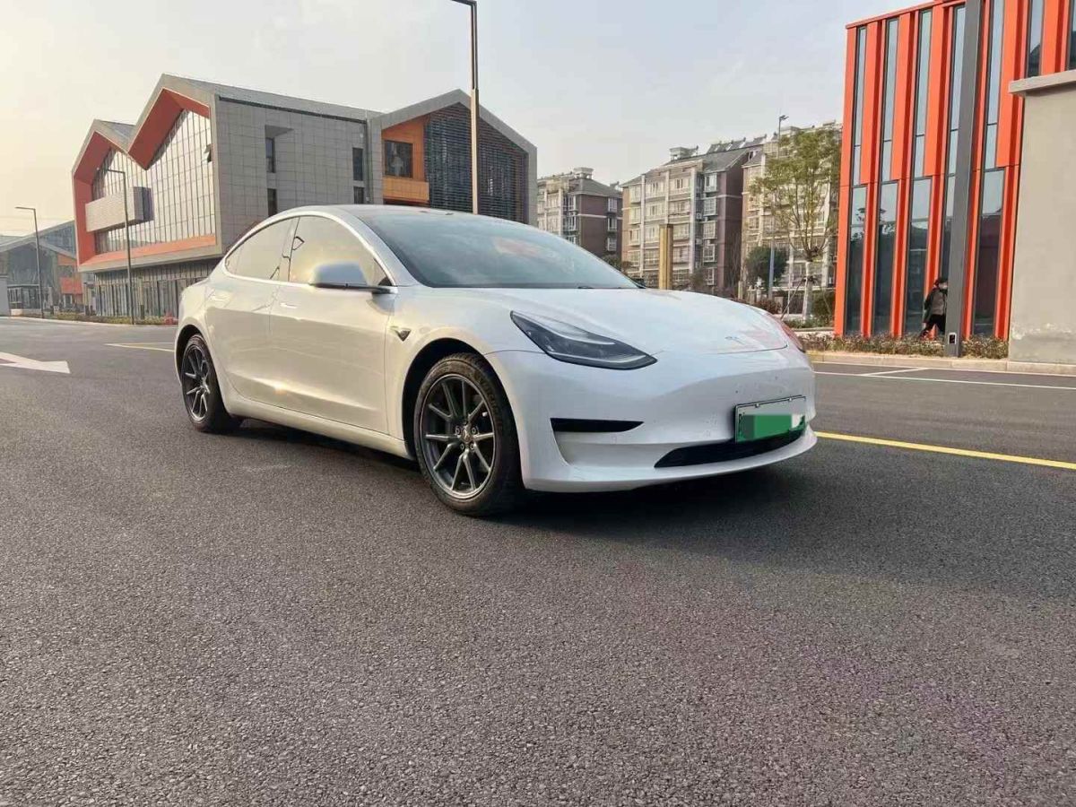 特斯拉 Model X  2020款 Performance 高性能版圖片