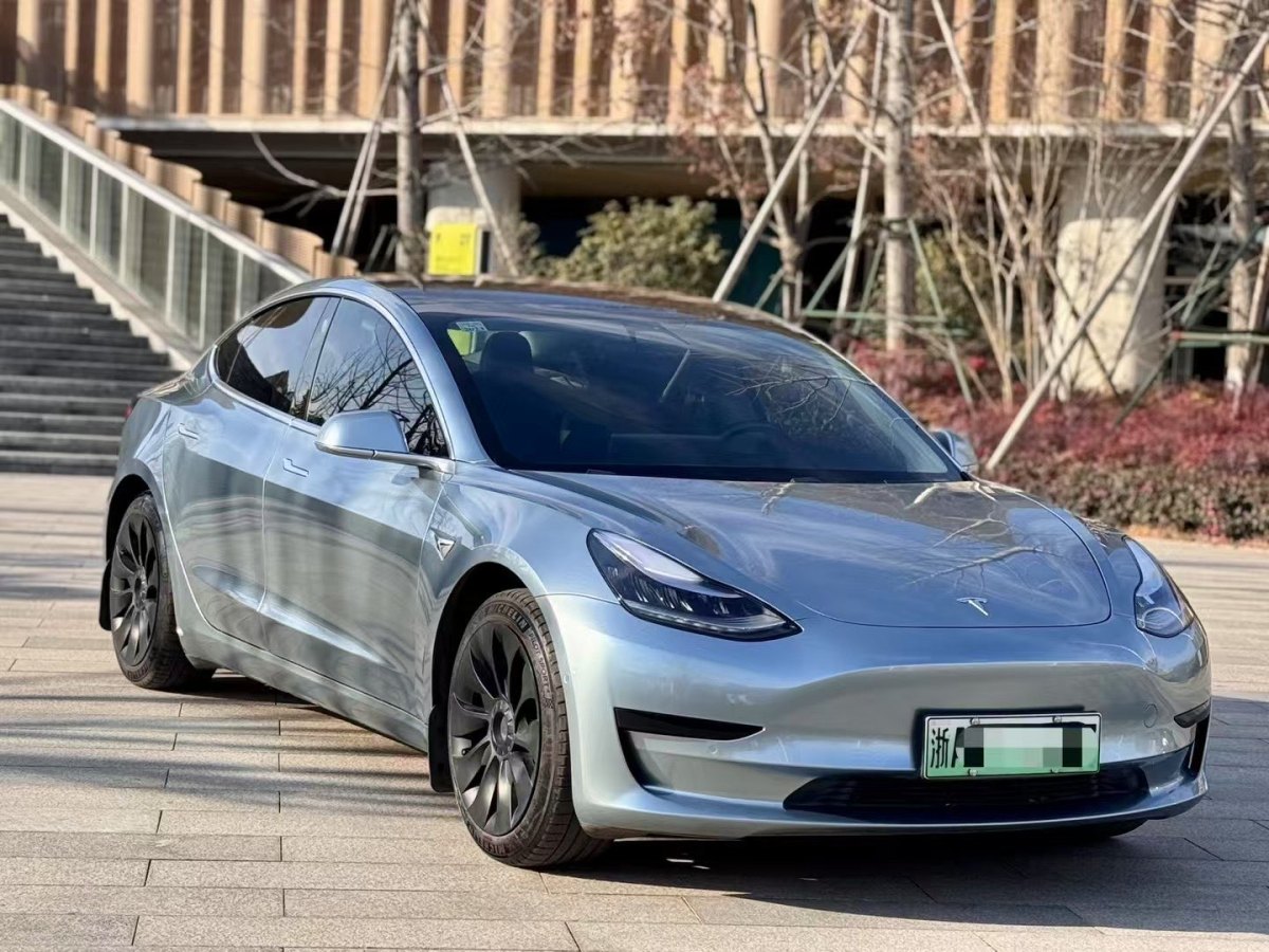 特斯拉 Model 3  2020款 改款 標(biāo)準(zhǔn)續(xù)航后驅(qū)升級(jí)版圖片