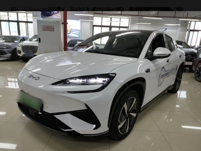 2024年5月 比亞迪 海獅07 EV 610智航版圖片