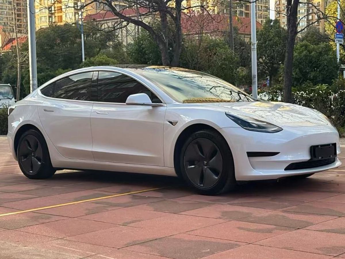 特斯拉 Model 3  2020款 改款 標(biāo)準(zhǔn)續(xù)航后驅(qū)升級(jí)版圖片