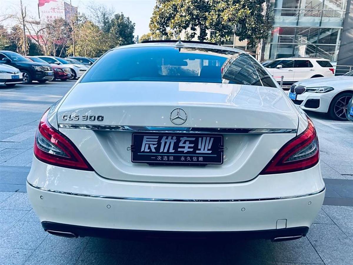 奔馳 奔馳CLS級(jí)  2012款 CLS 300 CGI圖片