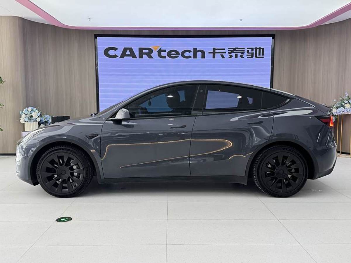 特斯拉 Model Y  2021款 改款二 長續(xù)航全輪驅(qū)動版圖片