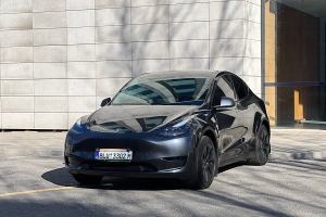 Model Y 特斯拉 改款 长续航后轮驱动版